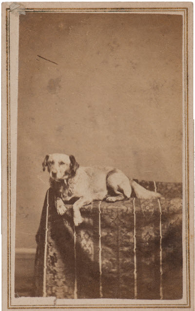 Abraham Lincoln's dog Fido